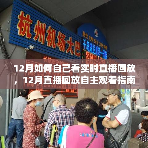 12月直播回放自主观看指南，实时直播回放观看、全面评测与深度分析