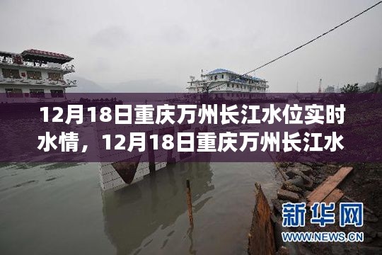 12月18日重庆万州长江水位实时水情深度解析与现场观察