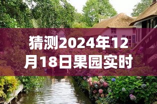 时光镜头下的果园，如何设置拍摄时间捕捉果园美景，2024年果园拍摄时间设置指南