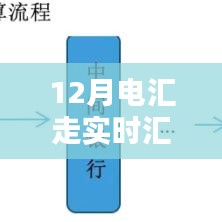 详细步骤指南，如何在十二月使用实时汇率进行电汇交易？