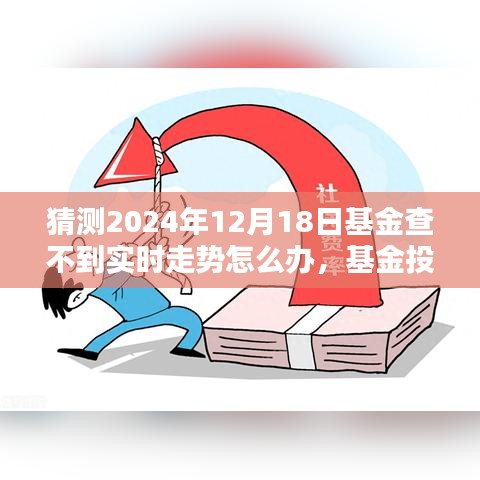 基金投资遇难题解析，如何应对无法查询实时走势的应对策略