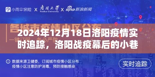 洛阳战疫幕后，特色小店揭秘小巷秘境的实时追踪之旅（XXXX年XX月XX日）