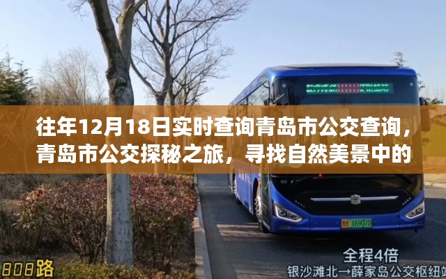 青岛市公交探秘之旅，寻找自然美景中的内心平静与实时公交查询指南