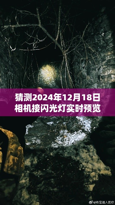 探秘小巷深处的摄影秘境，2024年相机闪光灯预览特色小店实时体验