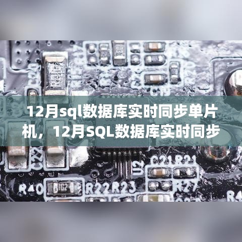 12月SQL数据库实时同步单片机，全面评测与介绍