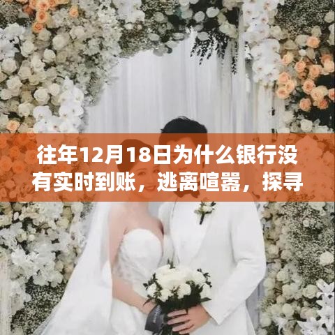 银行转账延迟背后的故事，探寻美景与延迟原因揭秘