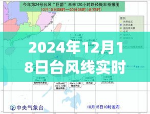 台风线实时路径图启示，自信与成就之旅