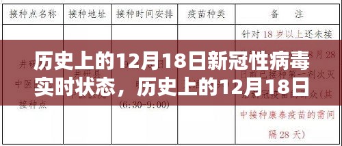 历史上的12月18日新冠病毒实时状态回顾与概览