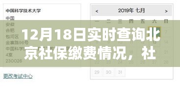 北京社保缴费实时查询，缴费日的小幸运与暖心服务体验