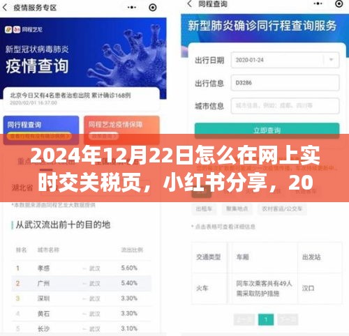 小红书分享，轻松网上实时交关税页攻略（适用于2024年12月22日）