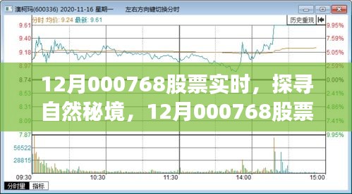 探寻自然秘境，揭秘股票背后的宁静之旅——聚焦股票实时动态分析 12月000768股票实时行情解读