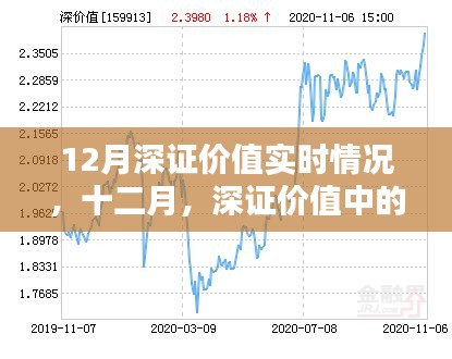 十二月深证价值实时洞察，暖心日常的深度解析