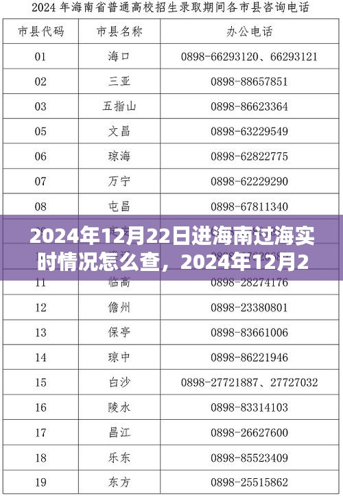 2024年12月22日海南过海实时情况查询指南，如何获取最新过海动态