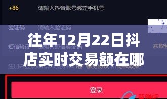 如何查看往年12月22日抖店实时交易额，特性、体验、竞品对比及用户群体深度分析评测指南