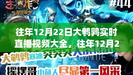 往年12月22日大鹌鹑实时直播视频观看指南，从零开始轻松掌握观看技巧