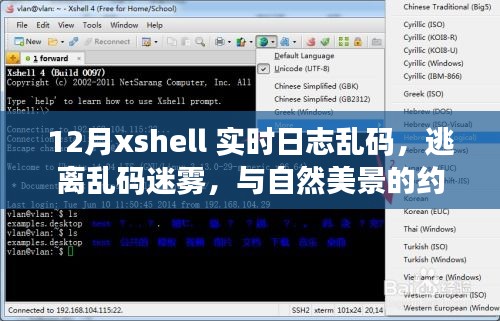 十二月Xshell日志乱码解析之旅，逃离迷雾，与自然美景的心灵对话