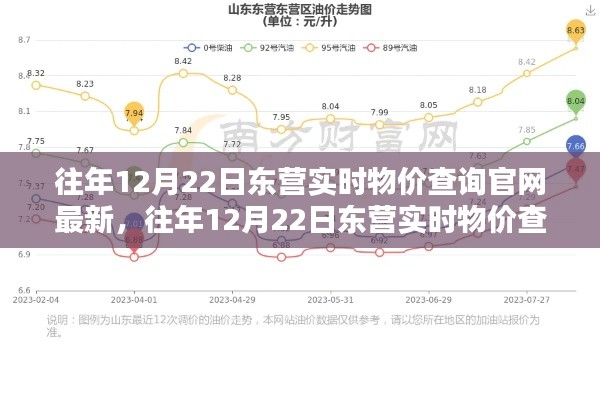 往年12月22日东营实时物价查询官网详解与测评报告