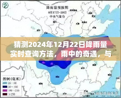 2024年12月22日降雨量探秘，雨中奇遇与实时查询方法