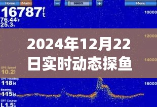 超越变化，实时动态探鱼器下的励志人生与作钓启示录