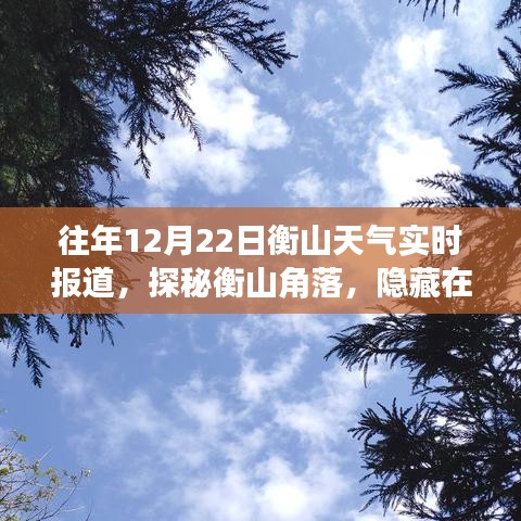 衡山角落探秘，冬日特色小店与天气奇缘的实时报道