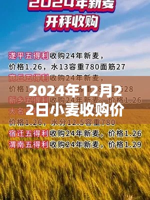 小麦收购价实时更新平台，最新动态，尽在掌握