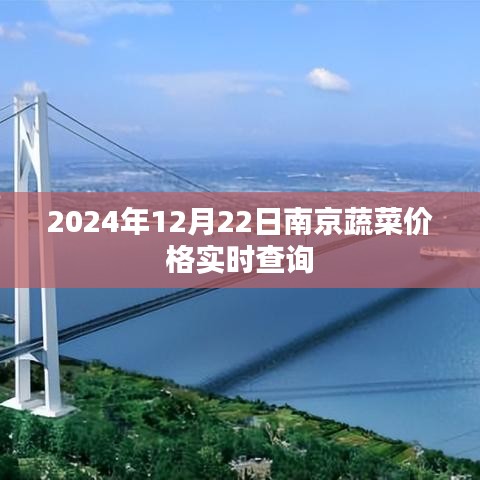 南京蔬菜价格实时查询（最新更新至2024年）