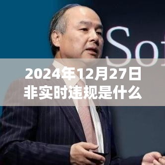 非实时违规原因解析，2024年12月27日数据解读