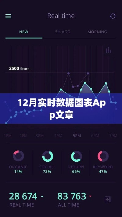 12月实时数据图表App全面解析