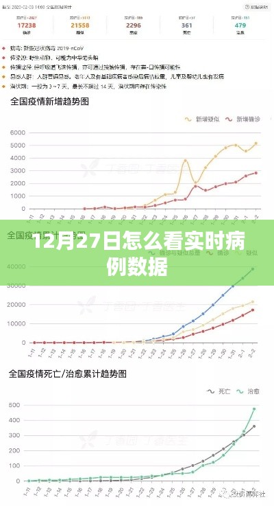 12月27日实时病例数据查看指南