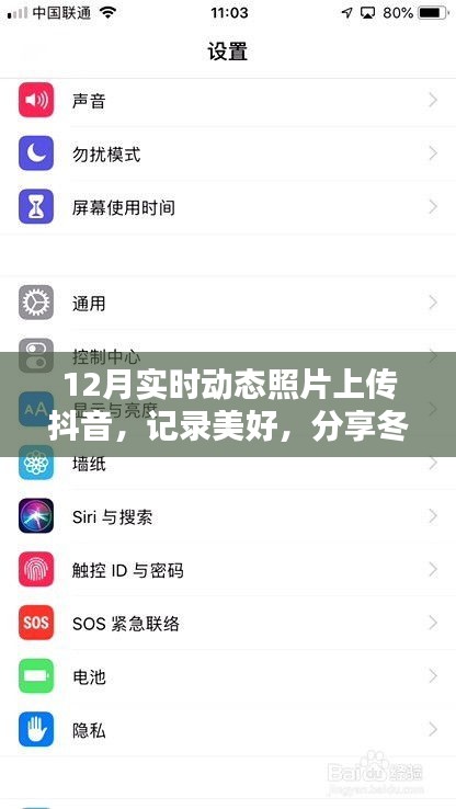 抖音实时动态照片分享，记录冬日的温暖瞬间