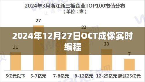 2024年OCT成像实时编程技术解析