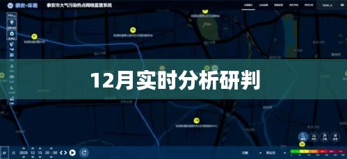 12月最新形势分析与研判报告