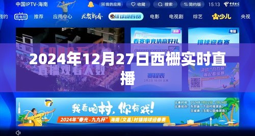 西栅实时直播，探索2024年12月27日的精彩瞬间