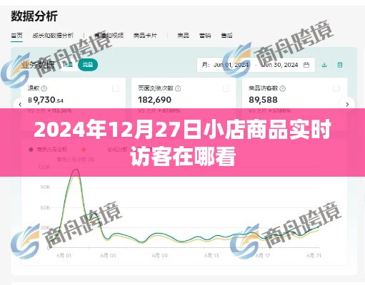 2024年12月27日小店商品实时访客查看指南