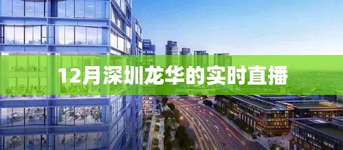 深圳龙华直播盛典，实时播报十二月盛况