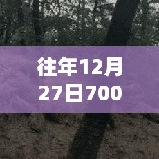 时光美好瞬间，往年12月27日实时取景捕捉