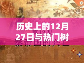 热门树苗探索与历史上的12月27日