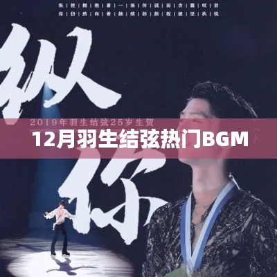 羽生结弦12月热门背景音乐