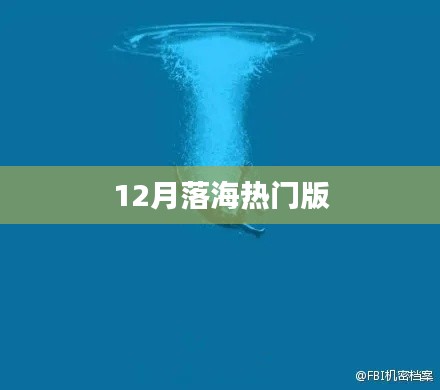 12月落海热门版榜单来袭