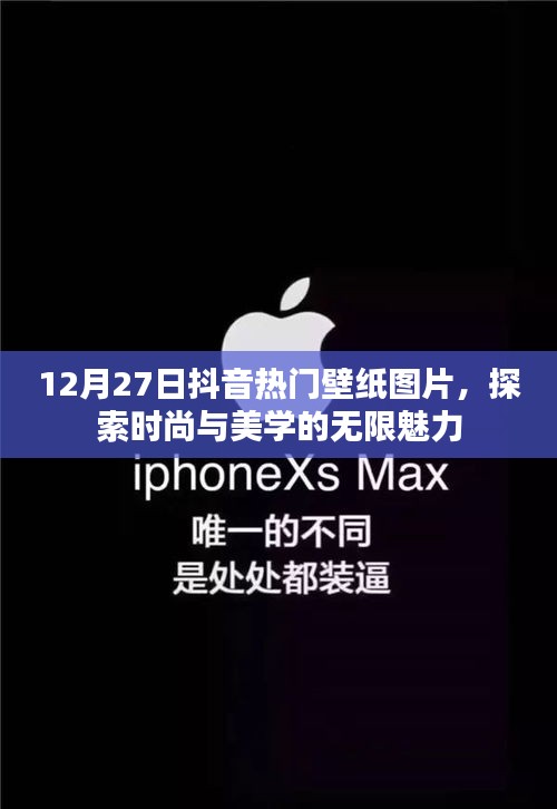 12月27日抖音流行壁纸，时尚与美学的探索