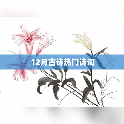 12月古诗热门赏析