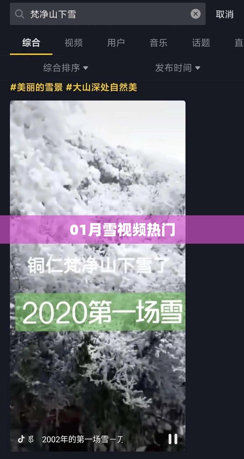 热门雪舞视频，一月精彩瞬间回顾