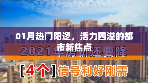 热门阳逻，活力都市新焦点