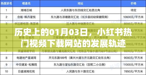 小红书热门视频下载网站发展轨迹，历史视角下的深度解析