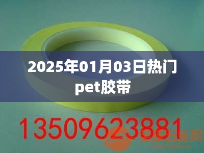 宠物胶带市场趋势展望，聚焦热门产品，揭秘未来市场动向