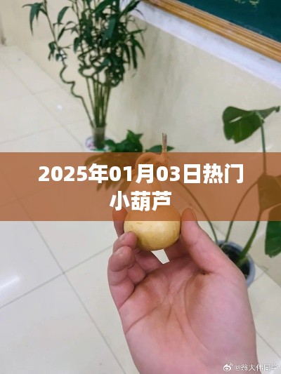 根据您的内容，为您生成了以下标题，，小葫芦热潮来袭，2025年1月3日瞩目时刻，符合百度收录标准，字数在规定的范围内，同时能够吸引用户的注意力。