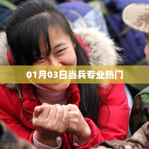 当兵专业热门概览，最新趋势分析（日期，01月03日）