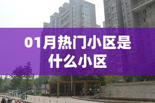 揭秘一月份最热门小区，你住哪里？