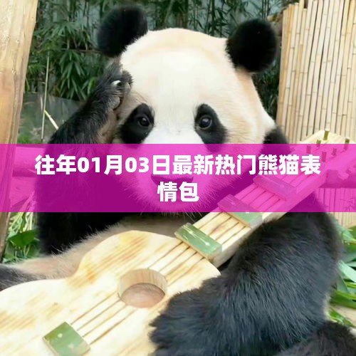 熊猫表情包最新热门盘点，历年精选集合