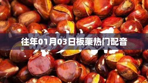 板栗热门配音盘点，历年精选回顾